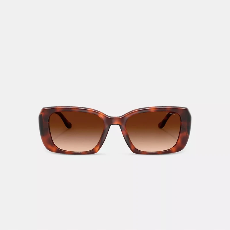 Maxi Sculpted C Oversized Rectangle Sunglasses
