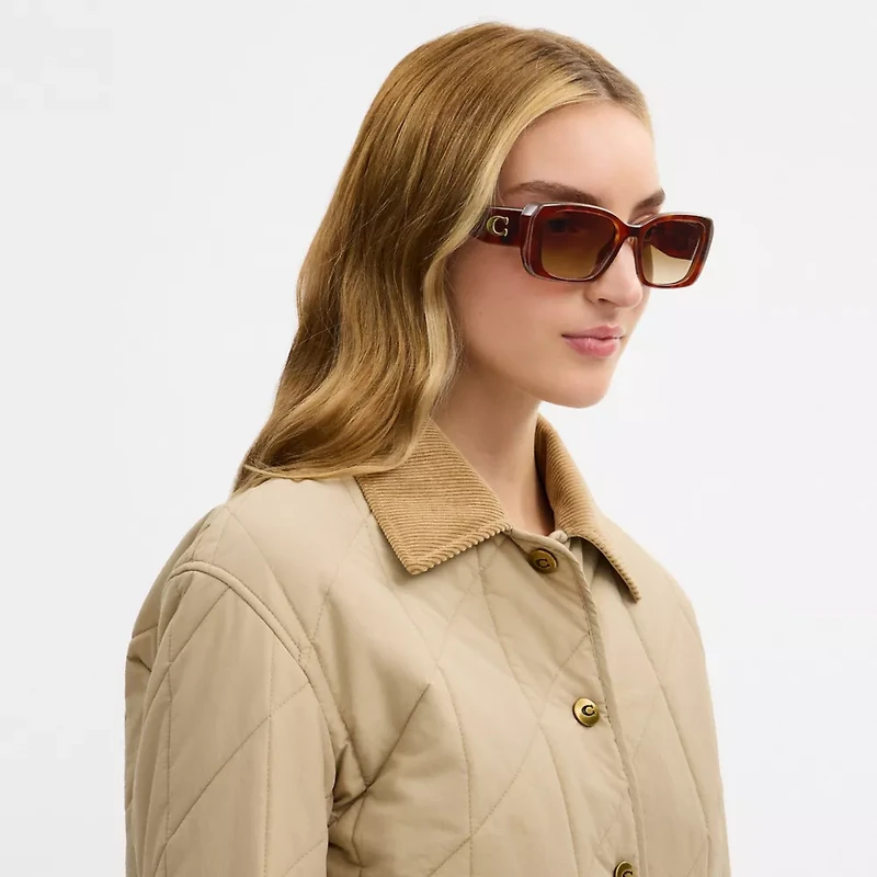 Maxi Sculpted C Oversized Rectangle Sunglasses