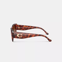 Maxi Sculpted C Oversized Rectangle Sunglasses