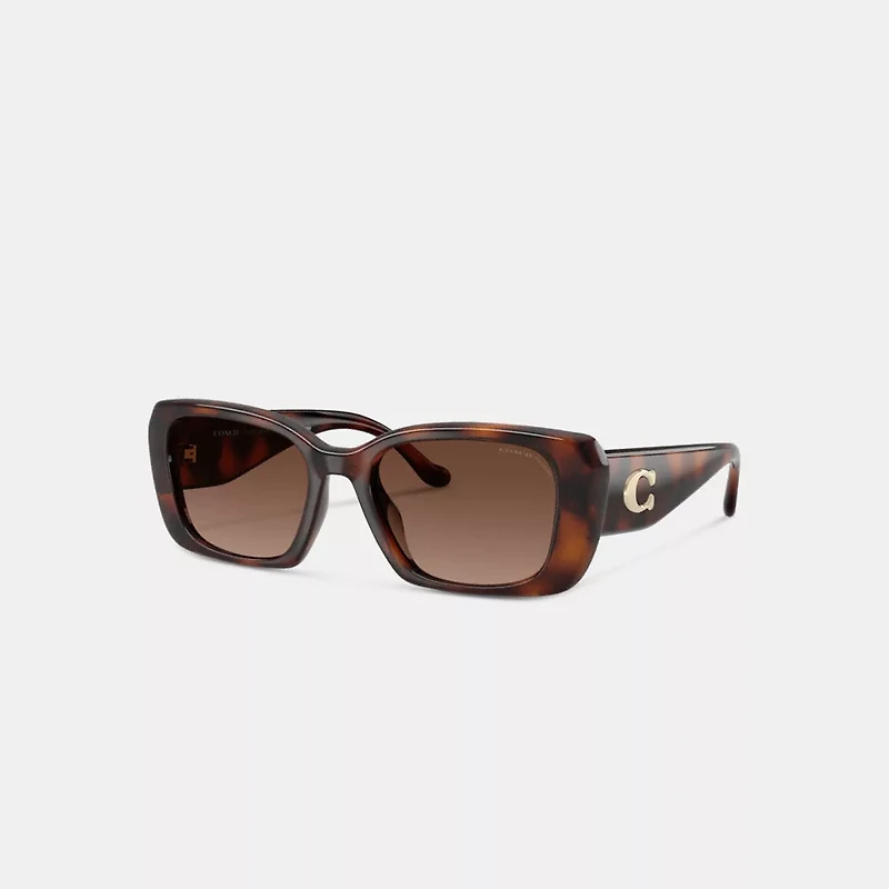Maxi Sculpted C Oversized Rectangle Sunglasses