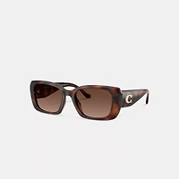 Maxi Sculpted C Oversized Rectangle Sunglasses