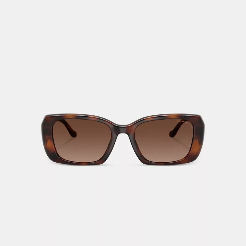 Maxi Sculpted C Oversized Rectangle Sunglasses