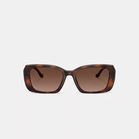 Maxi Sculpted C Oversized Rectangle Sunglasses