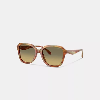 Oval Square Sunglasses