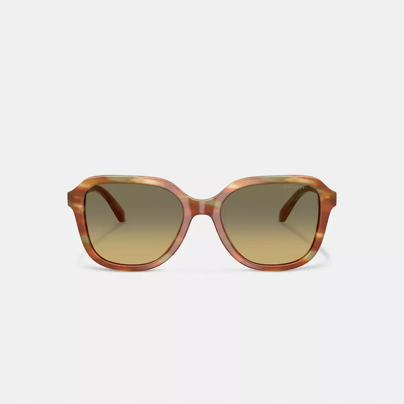 Oval Square Sunglasses
