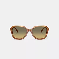 Oval Square Sunglasses