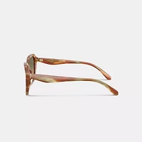 Oval Square Sunglasses