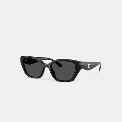 C Hardware Square Cat Eye Sunglasses