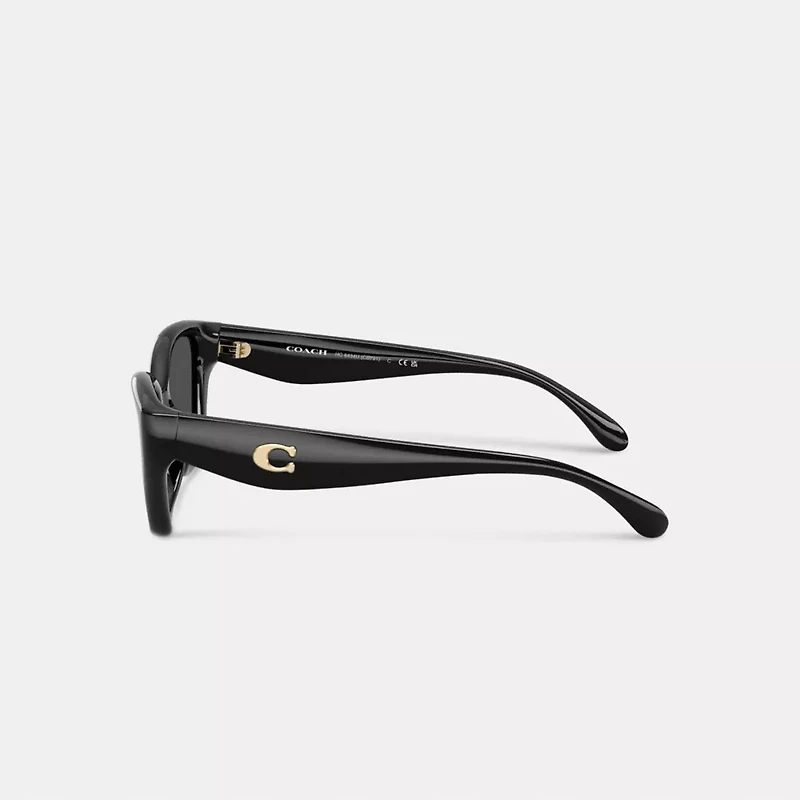 C Hardware Square Cat Eye Sunglasses