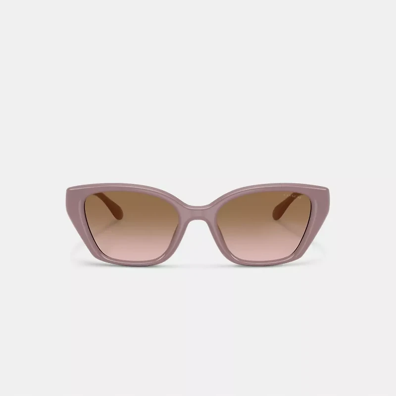 C Hardware Square Cat Eye Sunglasses