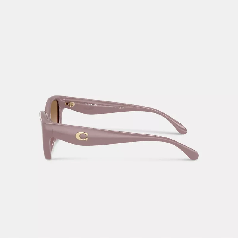 C Hardware Square Cat Eye Sunglasses
