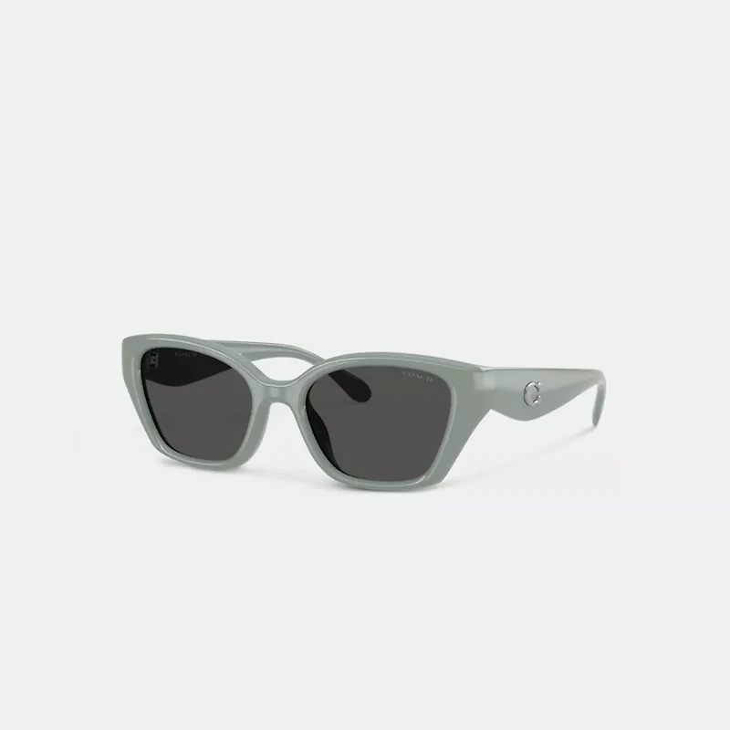 C Hardware Square Cat Eye Sunglasses