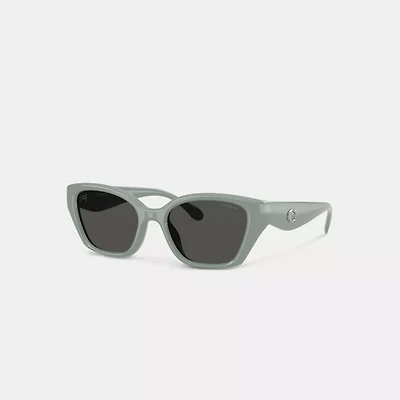 C Hardware Square Cat Eye Sunglasses