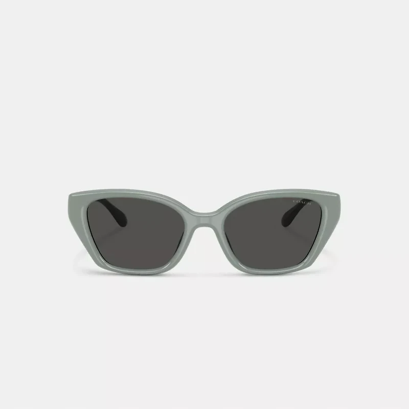 C Hardware Square Cat Eye Sunglasses