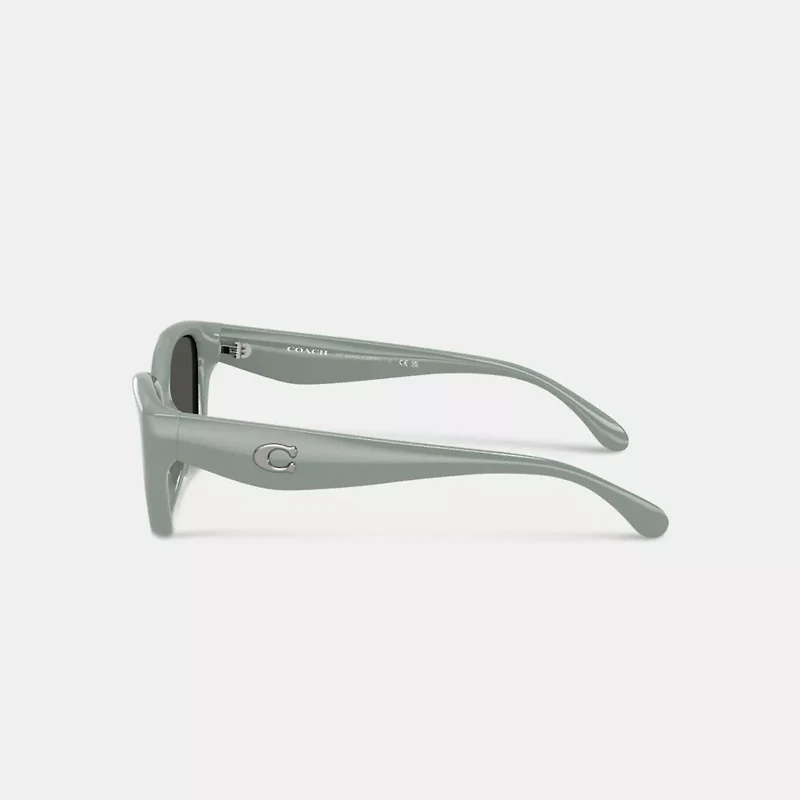 C Hardware Square Cat Eye Sunglasses