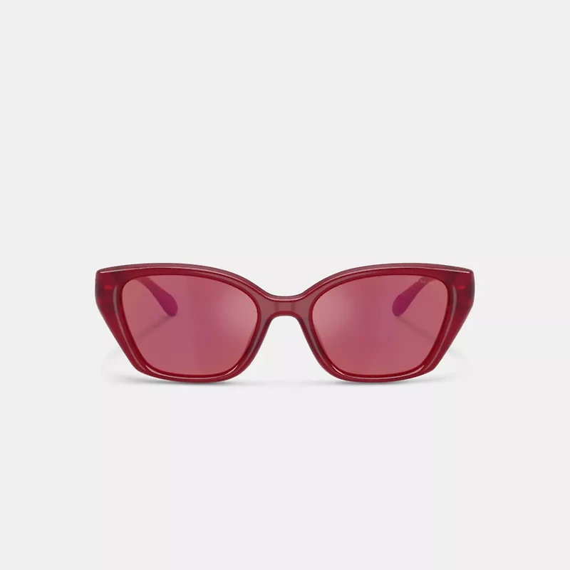 C Hardware Square Cat Eye Sunglasses