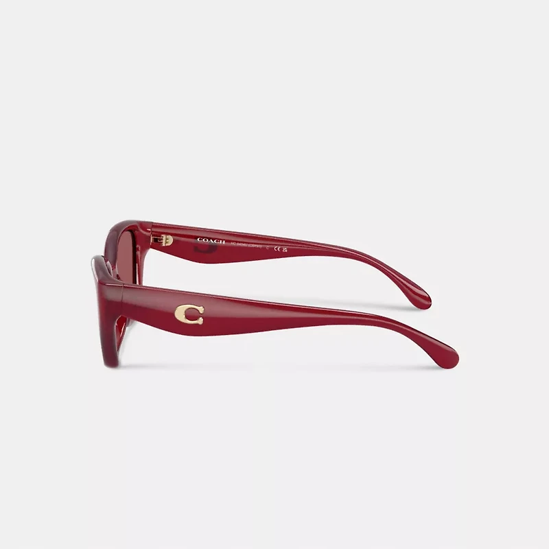 C Hardware Square Cat Eye Sunglasses