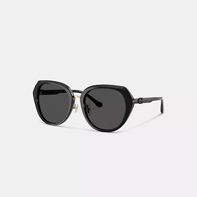 Maxi Sculpted C Oversized Round Sunglasses
