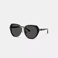 Maxi Sculpted C Oversized Round Sunglasses