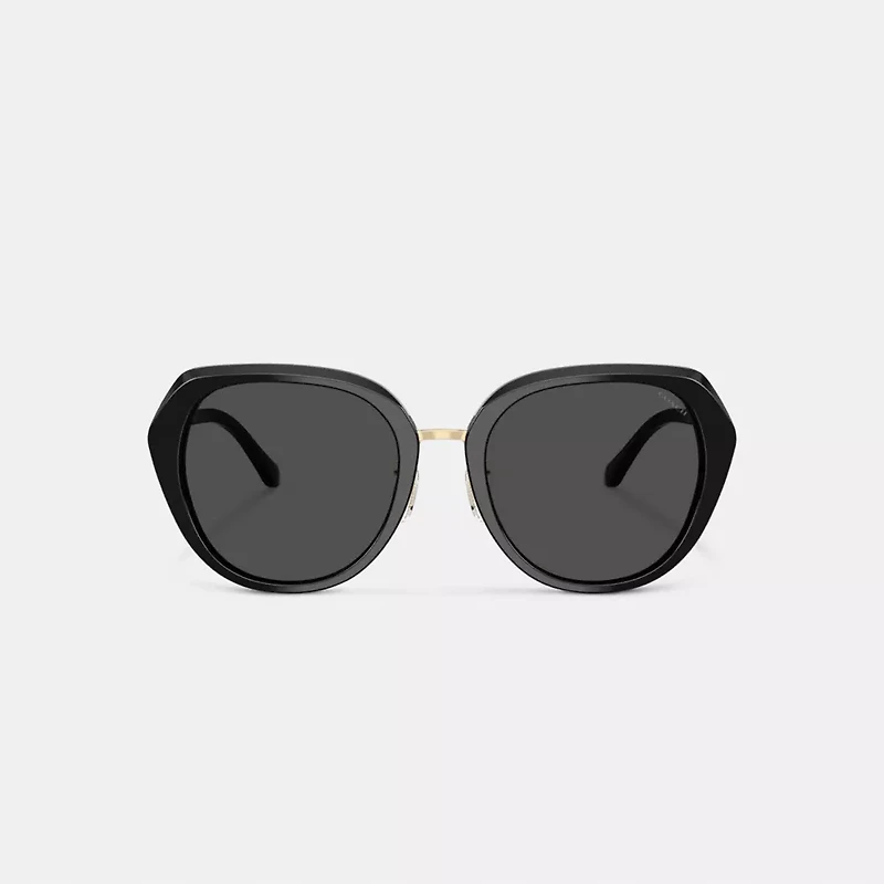 Maxi Sculpted C Oversized Round Sunglasses