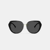 Maxi Sculpted C Oversized Round Sunglasses