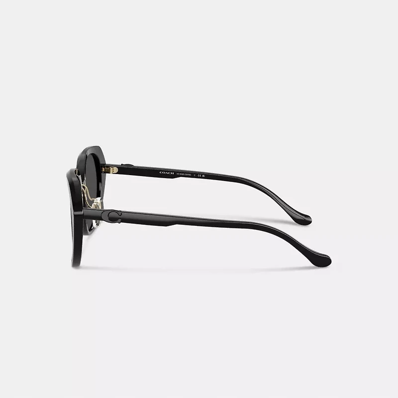 Maxi Sculpted C Oversized Round Sunglasses