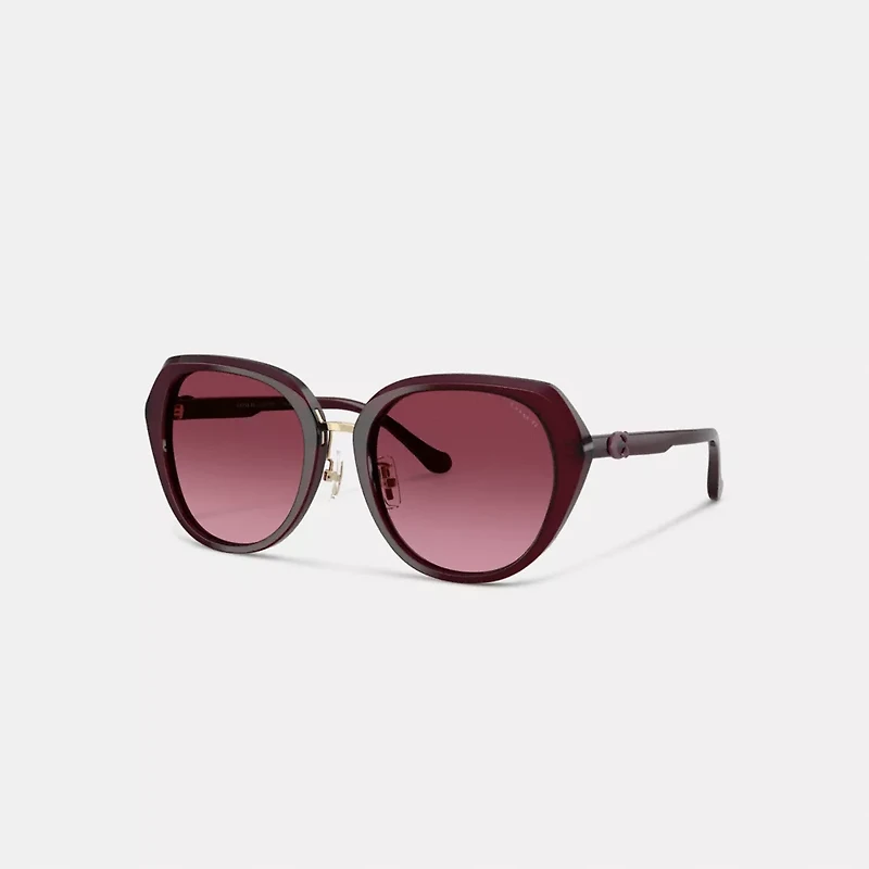 Maxi Sculpted C Oversized Round Sunglasses