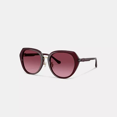 Maxi Sculpted C Oversized Round Sunglasses