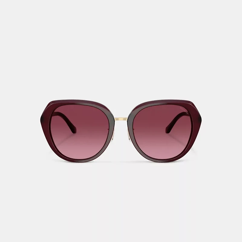 Maxi Sculpted C Oversized Round Sunglasses