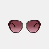 Maxi Sculpted C Oversized Round Sunglasses