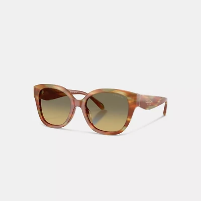 Square Sunglasses