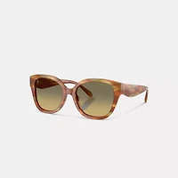 Square Sunglasses