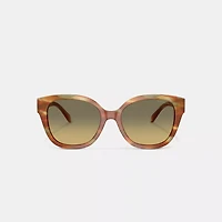 Square Sunglasses