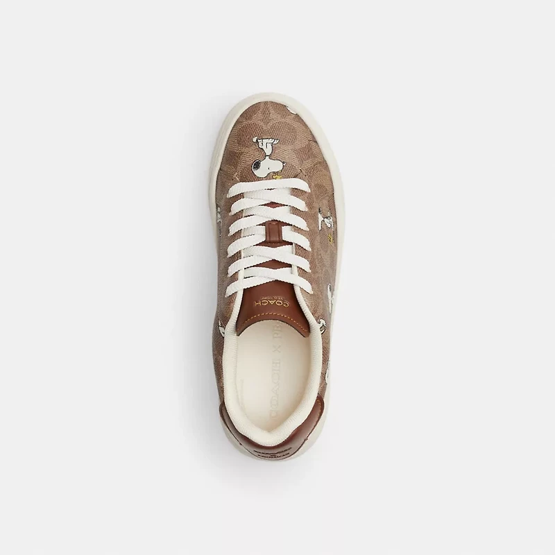Coach X Peanuts High Line Sneaker Signature Canvas With Snoopy Print