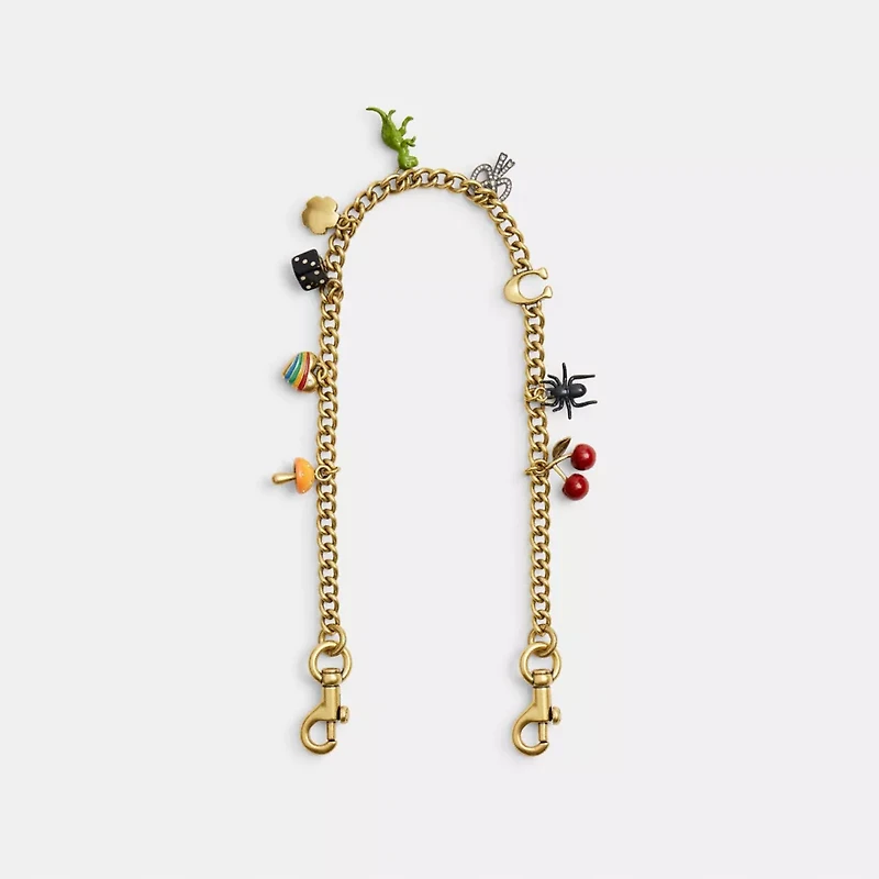 Chain Strap With Charms