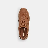 Match Sneaker With Leopard Print