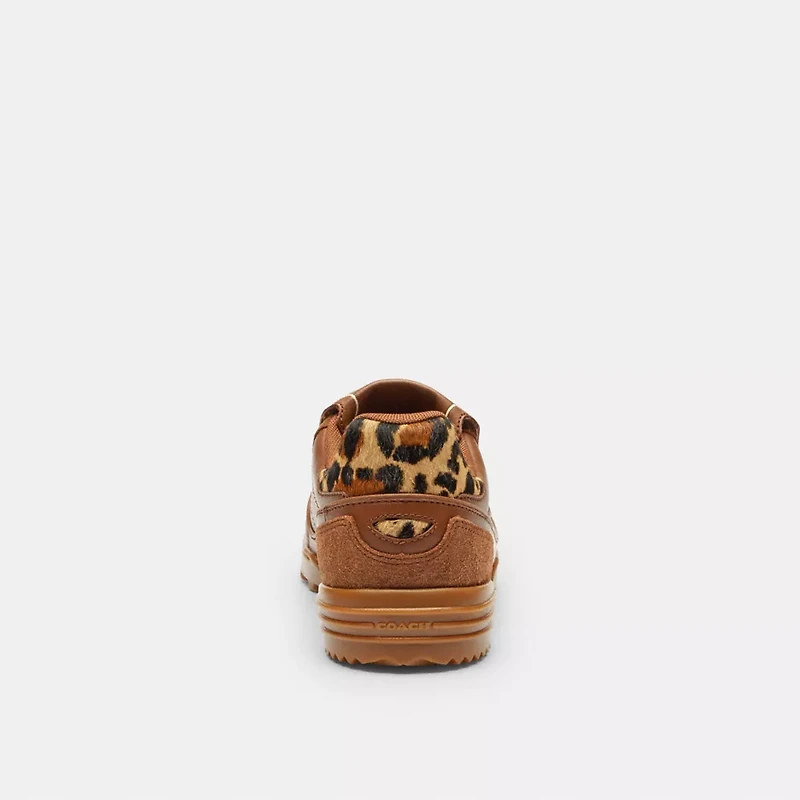 Match Sneaker With Leopard Print