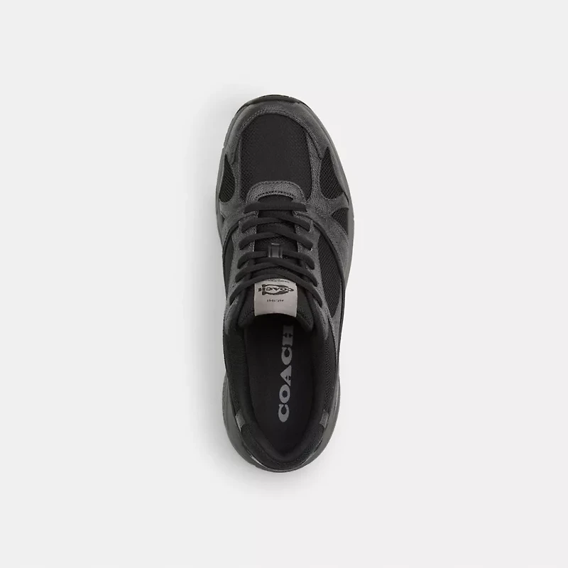 Sport Sneaker Signature Canvas