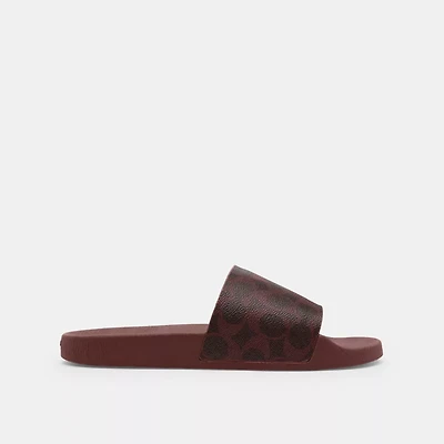 Udele Sport Slide Signature Canvas