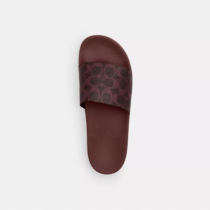Udele Sport Slide Signature Canvas