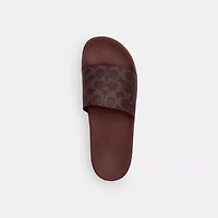 Udele Sport Slide Signature Canvas