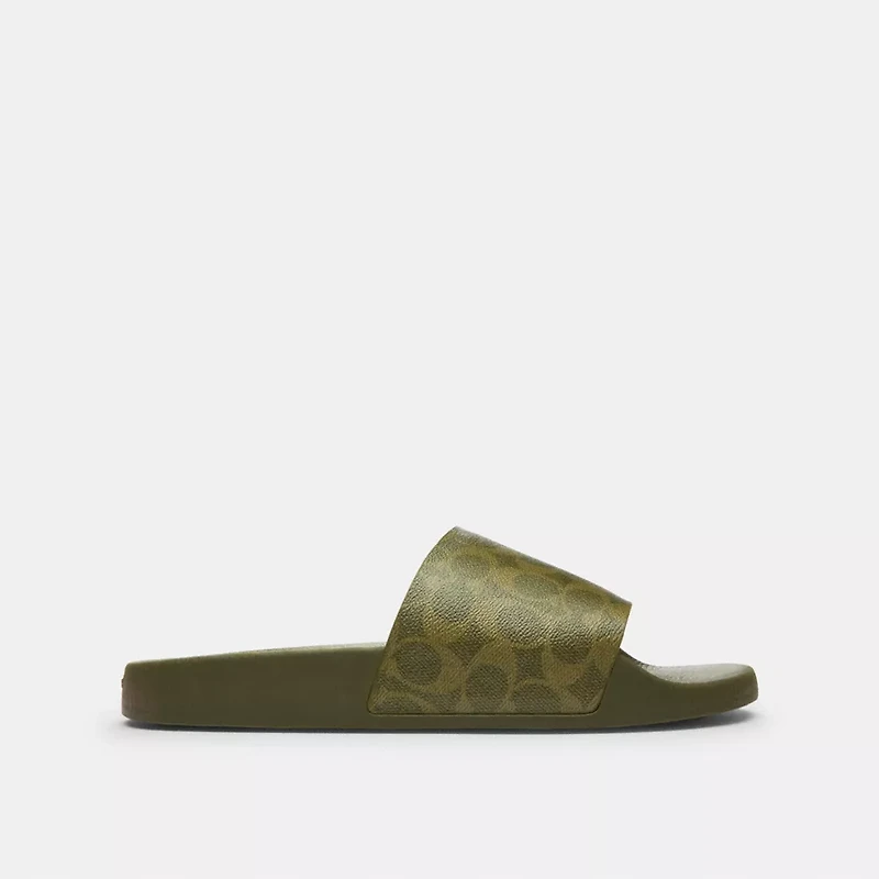 Pool Slide Signature Canvas