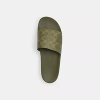 Pool Slide Signature Canvas