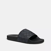 Pool Slide Signature Canvas