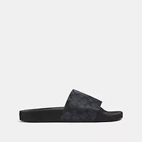 Pool Slide Signature Canvas