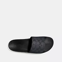 Pool Slide Signature Canvas