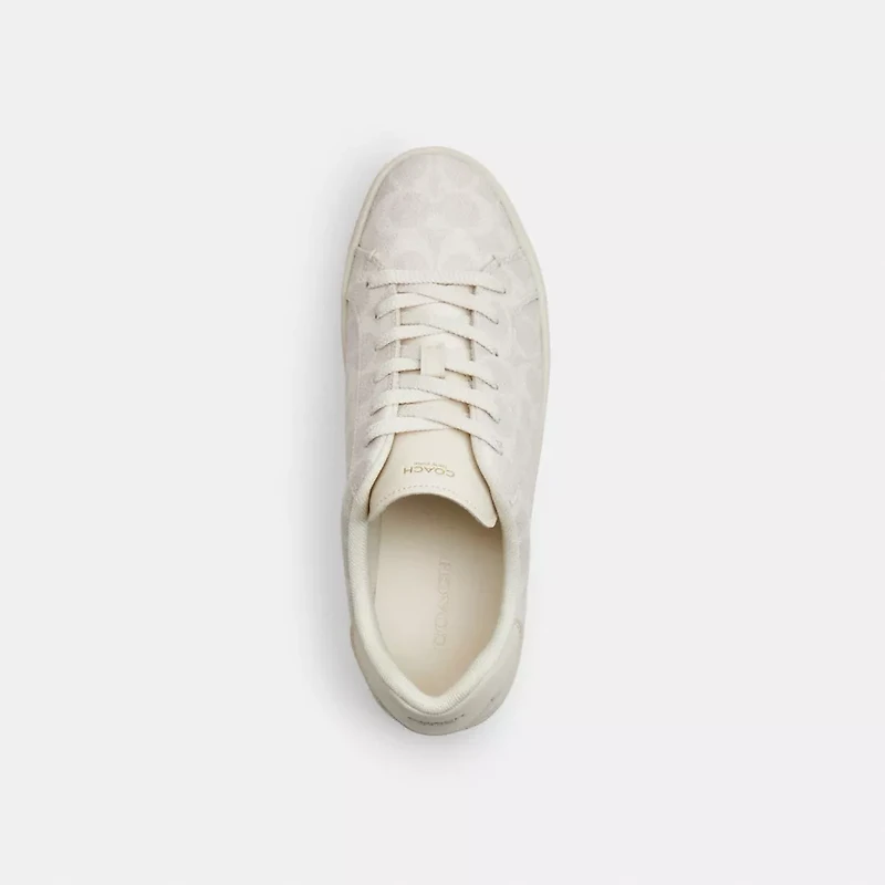 High Line Sneaker Signature Canvas