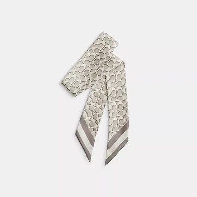 Signature Silk Skinny Scarf