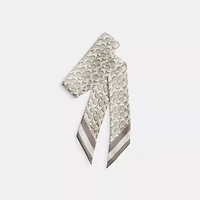 Signature Silk Skinny Scarf