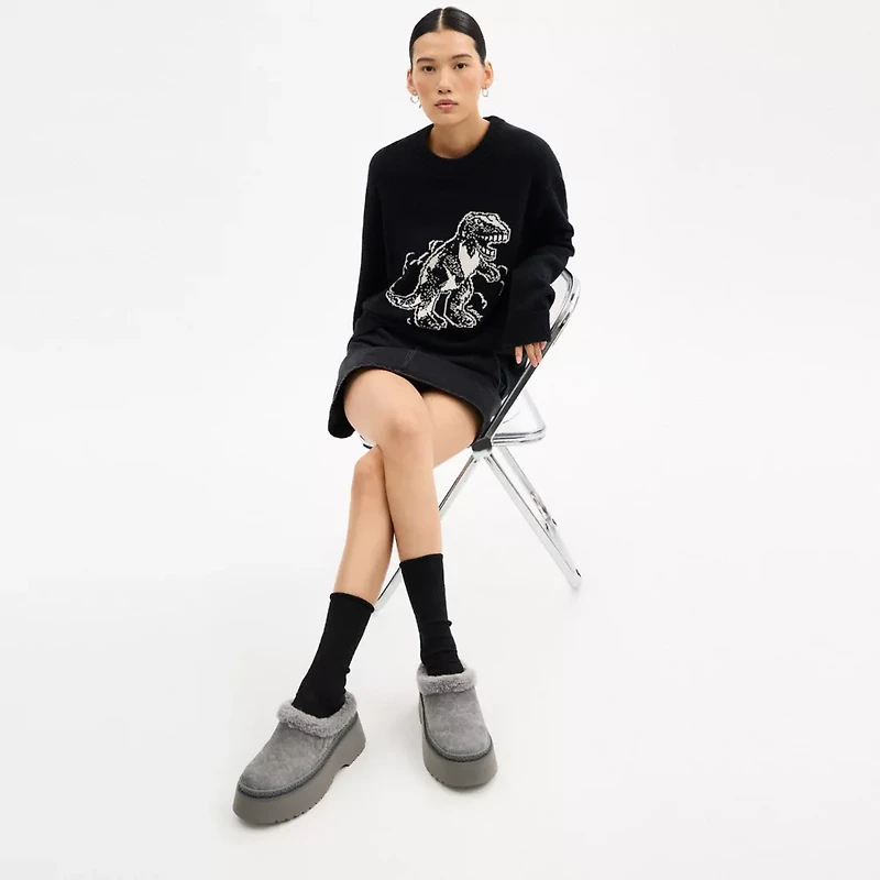 Cecelia Clog Signature Suede